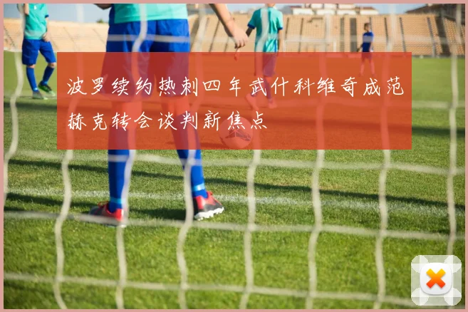 波罗续约热刺四年武什科维奇成范赫克转会谈判新焦点