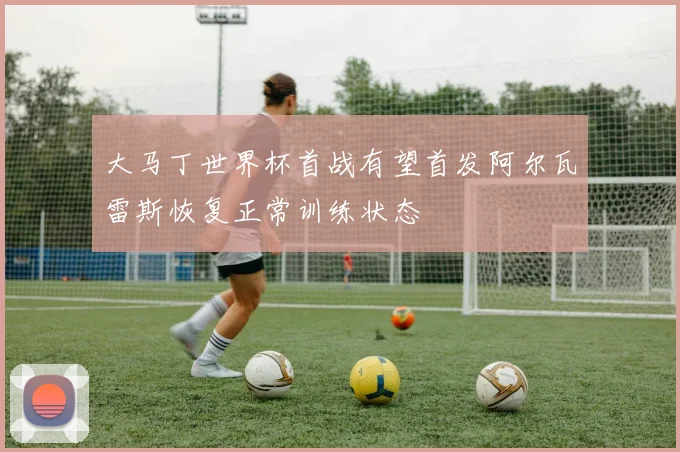 大马丁世界杯首战有望首发阿尔瓦雷斯恢复正常训练状态